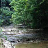 Review photo of Carter Caves State Resort Park by Andrew S., September 30, 2016