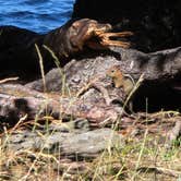 Review photo of Odell Lake Lodge & Resort Campground by Mike , July 28, 2026