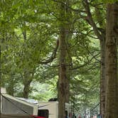 Review photo of Buttersville Park Campground by Mary H., July 29, 2026
