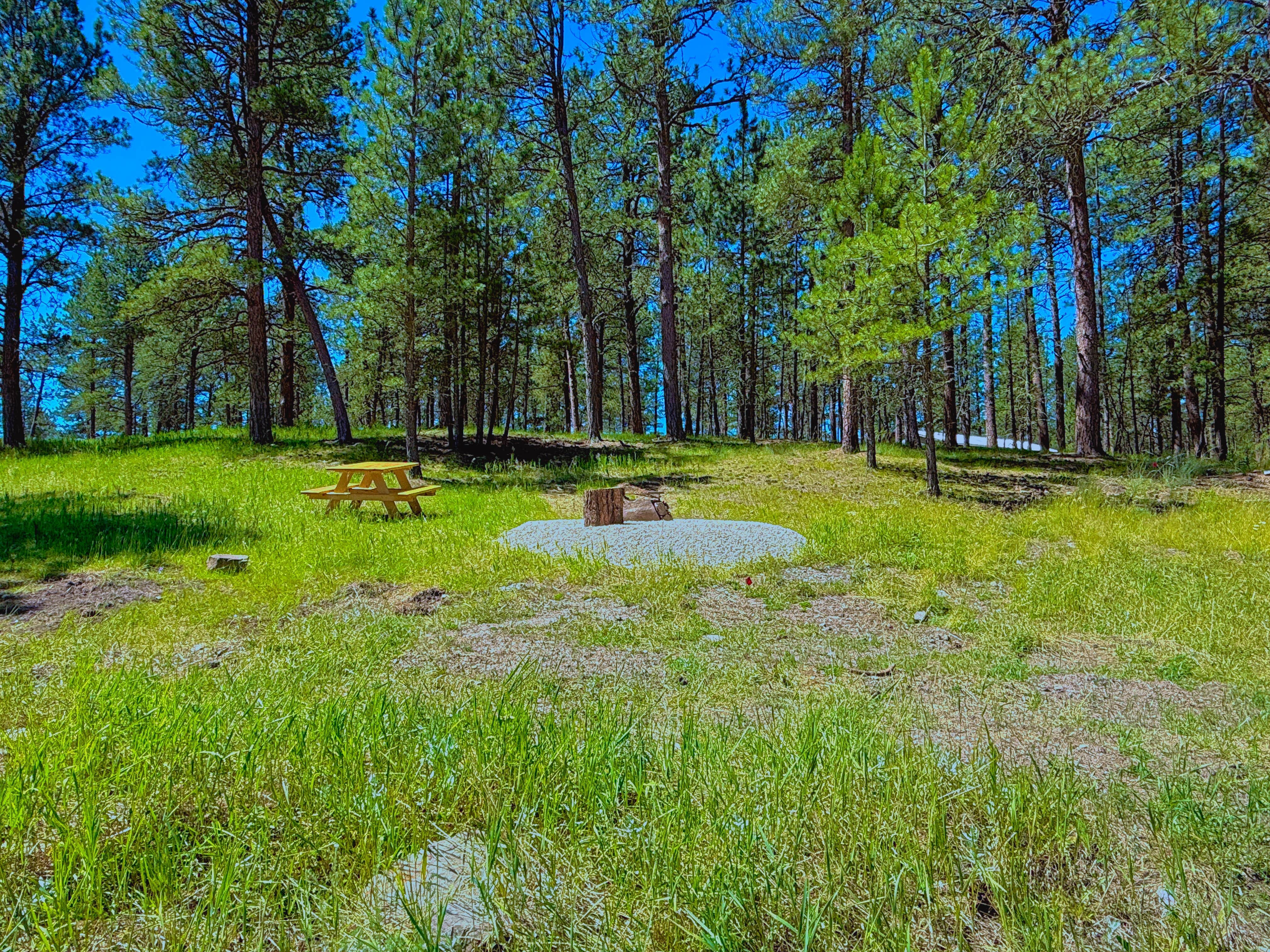 Camping near Plenty Star Ranch - CLOSED: True North Retreat, Pringle, South Dakota