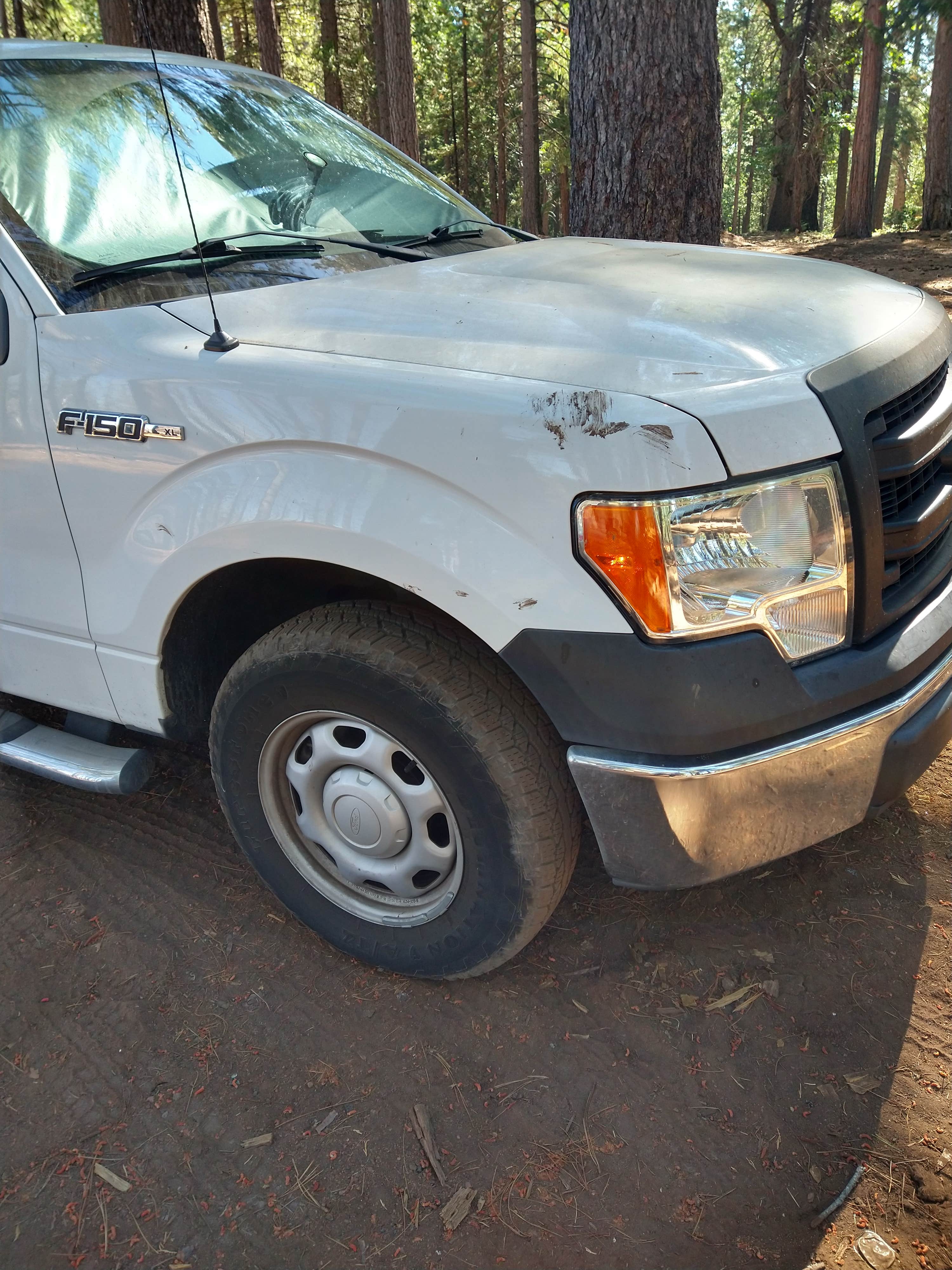 Camper-submitted photo at El Dorado National Forest, off Cal Hwy 88 near Sonora, CA