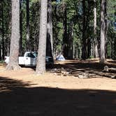 Review photo of El Dorado National Forest, off Cal Hwy 88 by V L., July 30, 2026