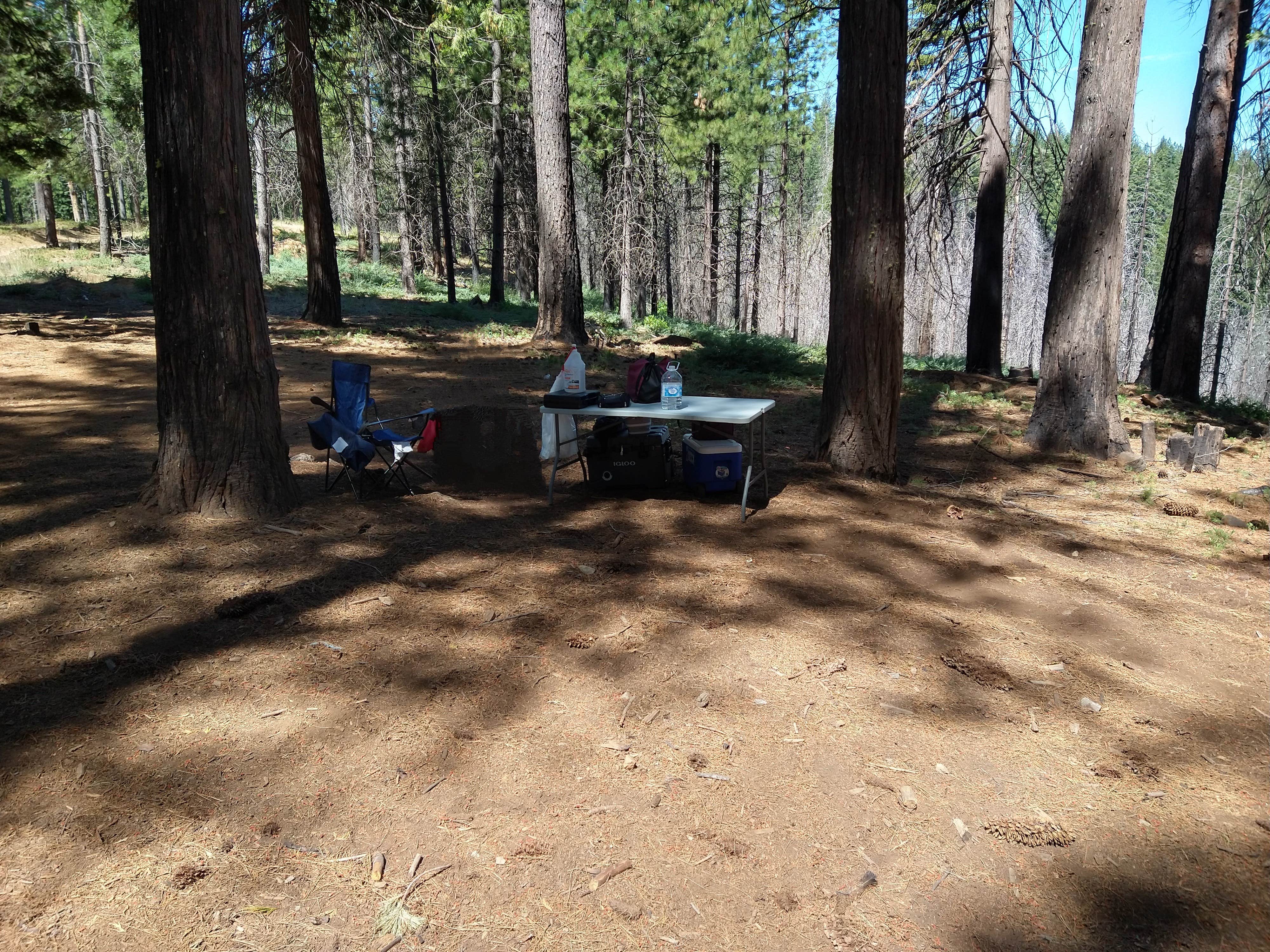 Camper-submitted photo at El Dorado National Forest, off Cal Hwy 88 near Sonora, CA