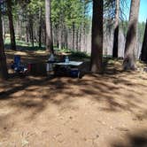 Review photo of El Dorado National Forest, off Cal Hwy 88 by V L., July 30, 2026