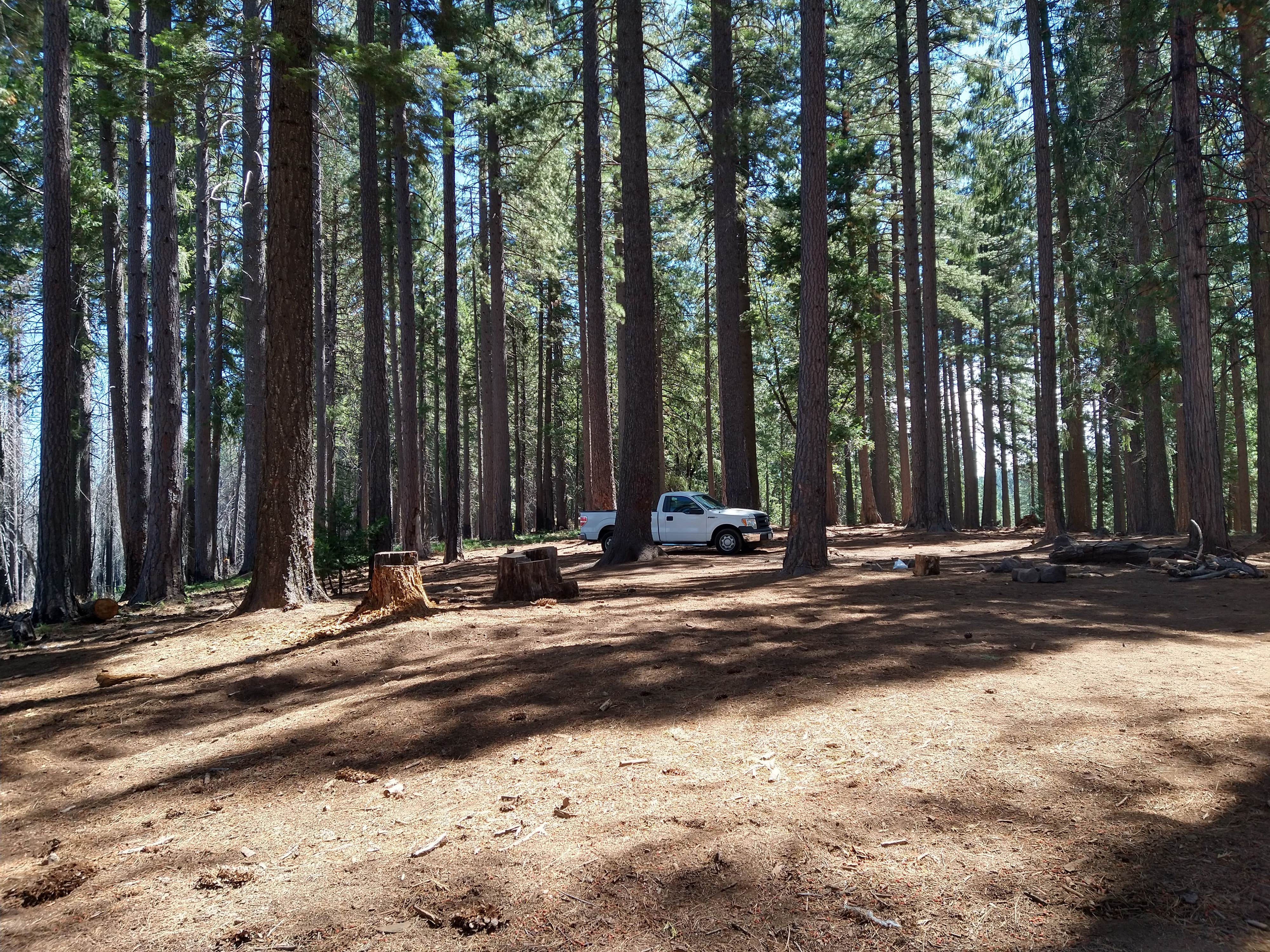 Camper-submitted photo at El Dorado National Forest, off Cal Hwy 88 near Sonora, CA
