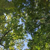 Review photo of 3-Point Lake Campgrounds by Grace M., July 30, 2026