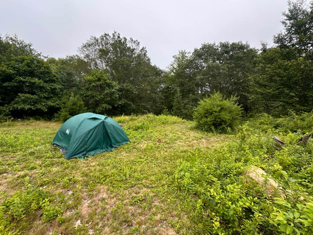 Erica S.'s photo of tent camping at Rustic Retreat near Waldoboro, ME