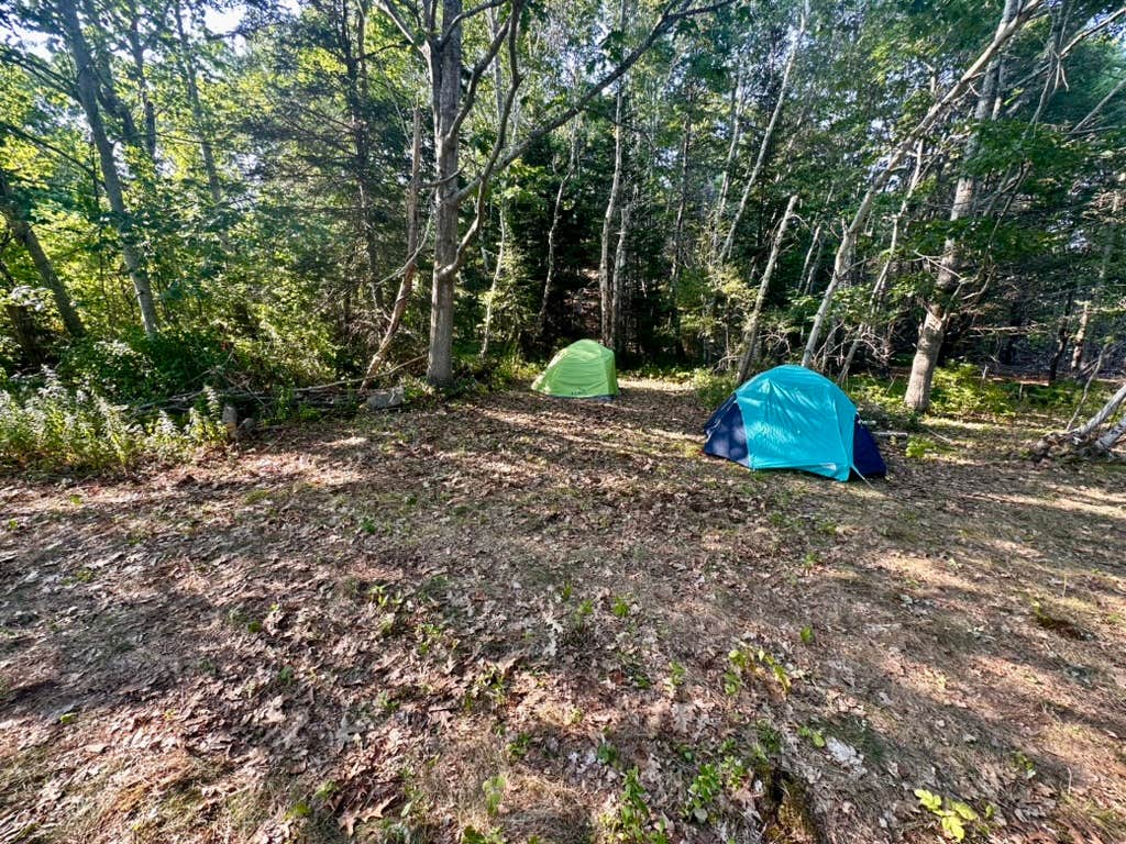 Camper-submitted photo at Rustic Retreat near Chamberlain, ME