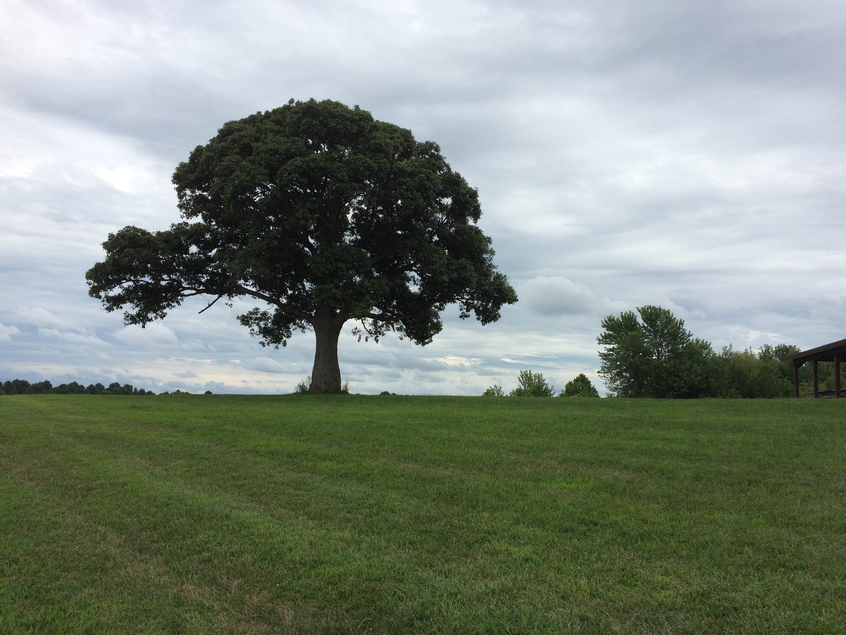 Camper submitted image from Crow's Creek Campground - 1