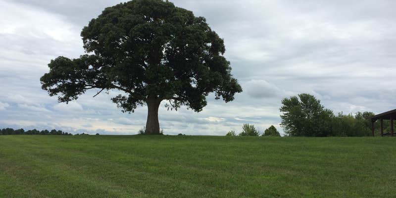 Camper submitted image from Crow's Creek Campground
