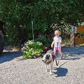 Review photo of Elk Creek Campground by Barry S., July 31, 2026