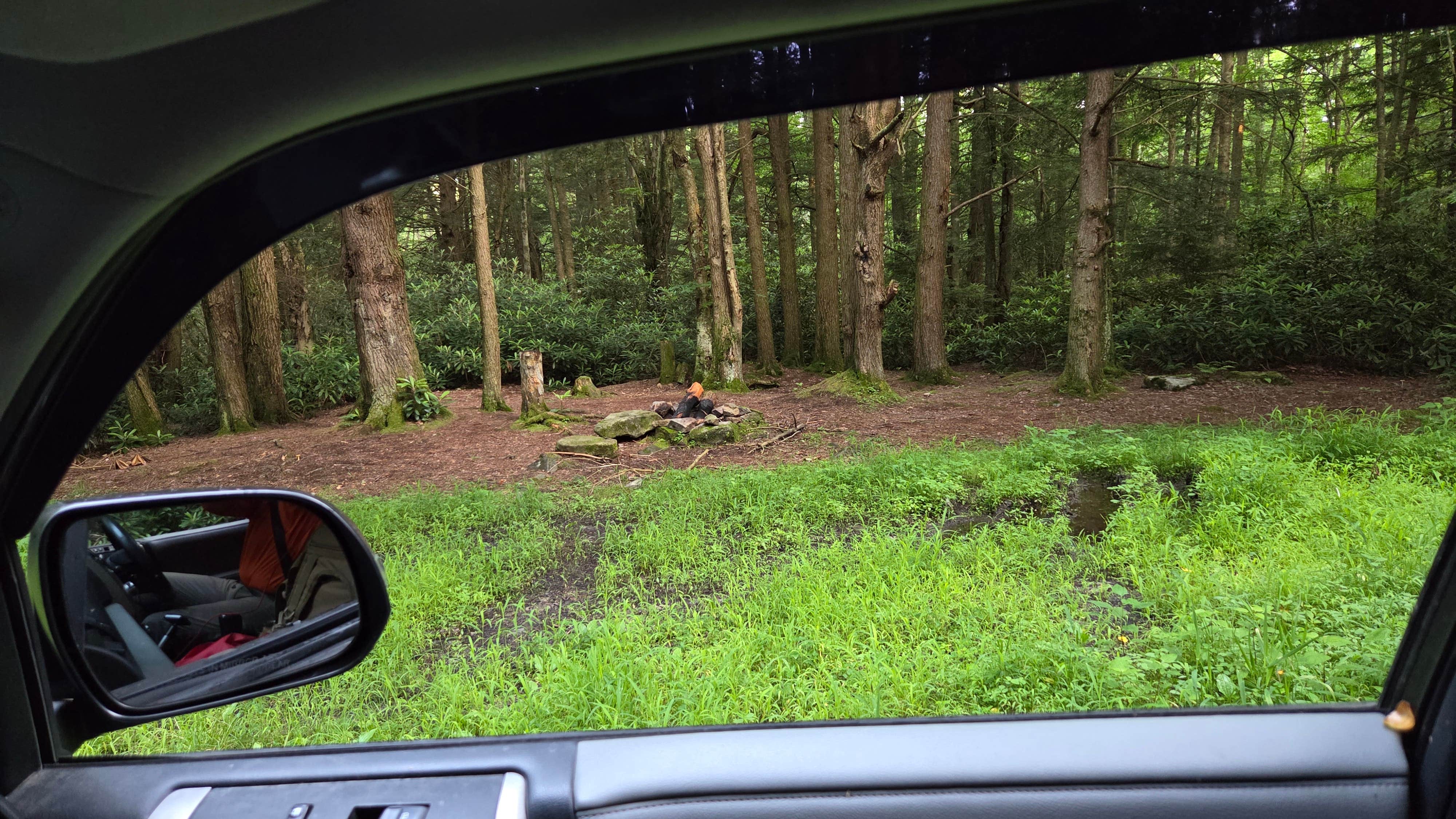 Camper-submitted photo at Canaan Loop Road Dispersed near Davis, WV