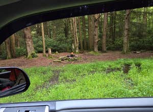 Canaan Loop Road Dispersed