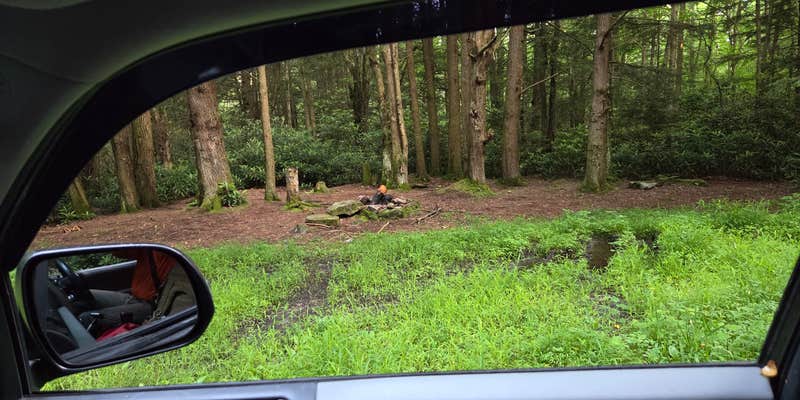 Camper submitted image from Canaan Loop Road Dispersed