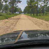 Review photo of Pine Hill Camp by Richard A., August 1, 2026