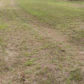 Review photo of Pine Hill Camp by Richard A., August 1, 2026