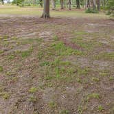 Review photo of Pine Hill Camp by Richard A., August 1, 2026