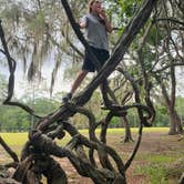 Review photo of Reed Bingham State Park Campground by Angel C., August 1, 2026