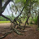 Review photo of Reed Bingham State Park Campground by Angel C., August 1, 2026