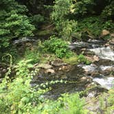 Review photo of Cuyahoga Valley National Park - CAMPING NO LONGER OFFERED by Christopher S., June 11, 2016