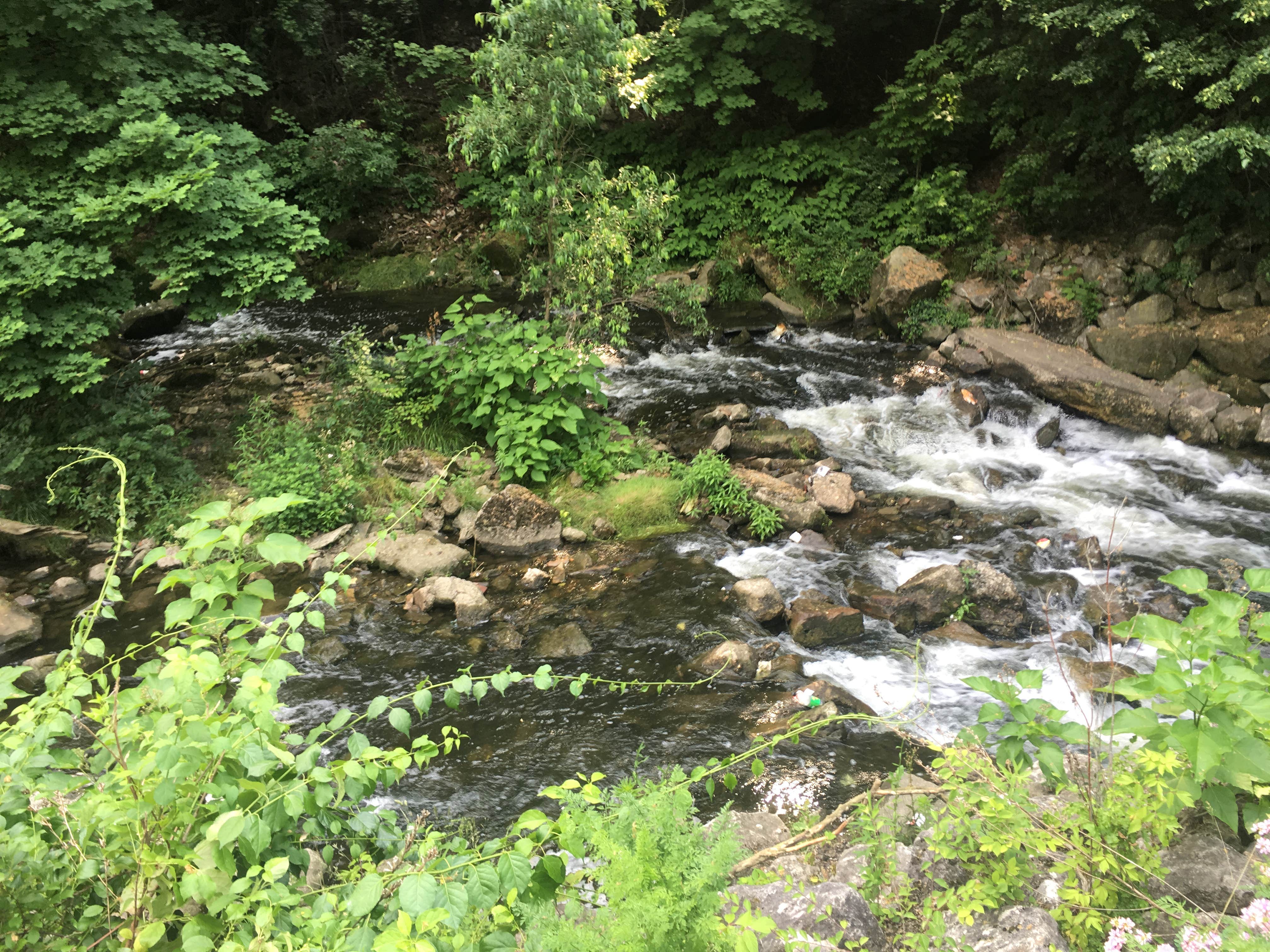 Camper submitted image from Cuyahoga Valley National Park - CAMPING NO LONGER OFFERED - 5