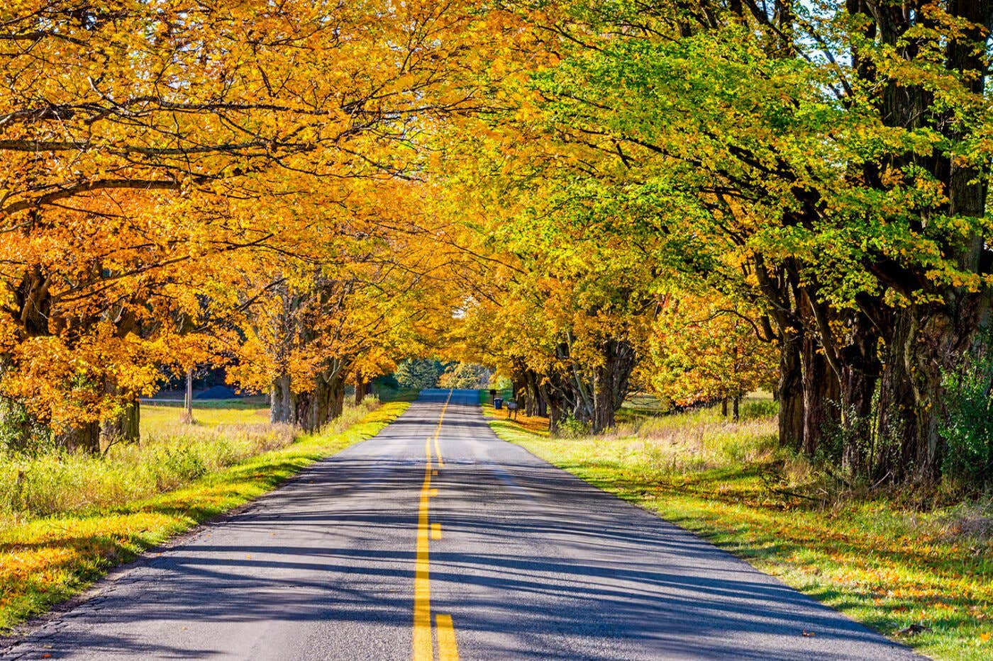 Camper-submitted photo at Black Sheep Landings near Brutus, MI