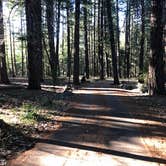 Review photo of Mad River Campground by Norman J., August 3, 2026