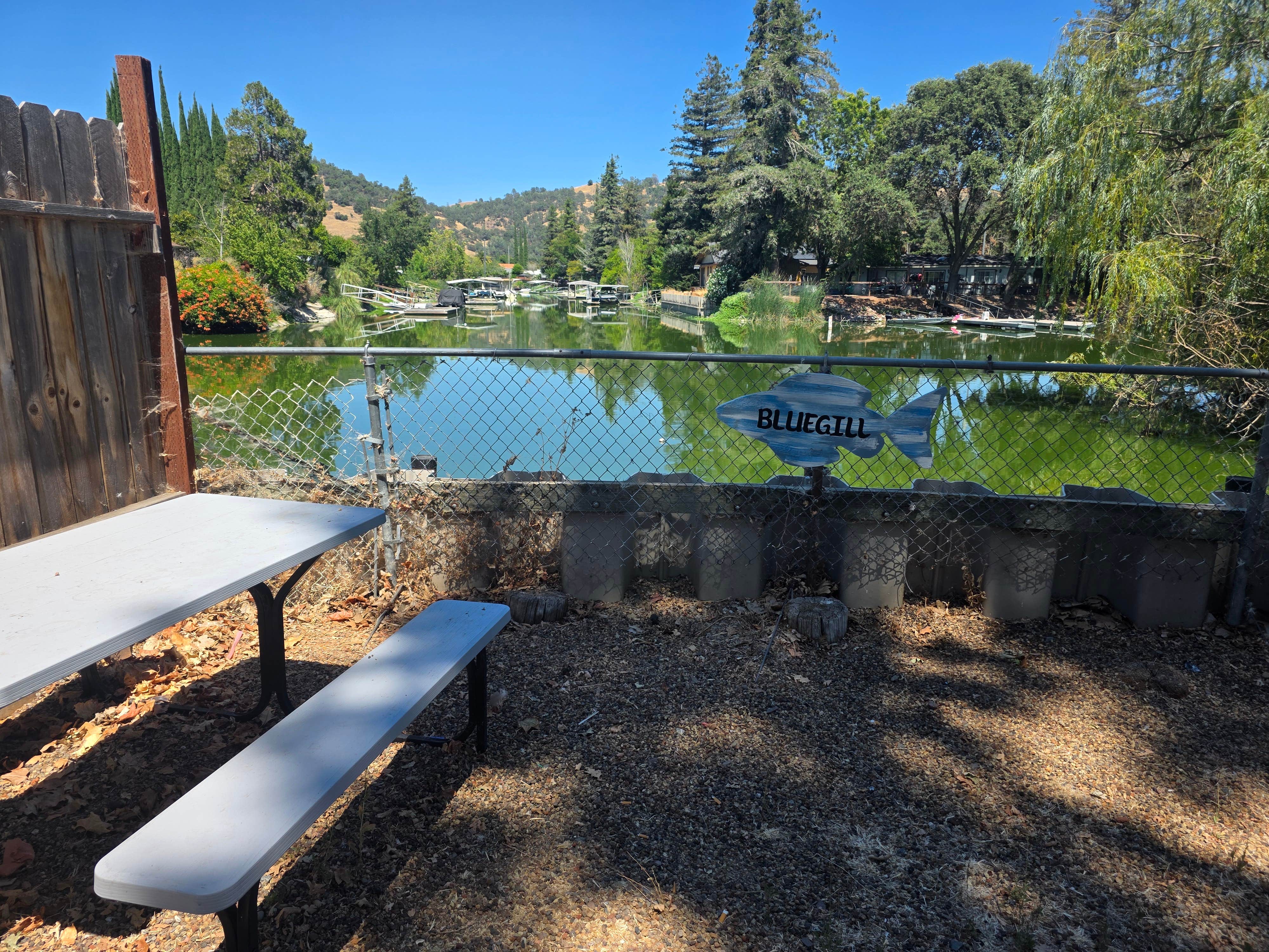 Camper-submitted photo at Wild Oaks RV Park near Rumsey, CA