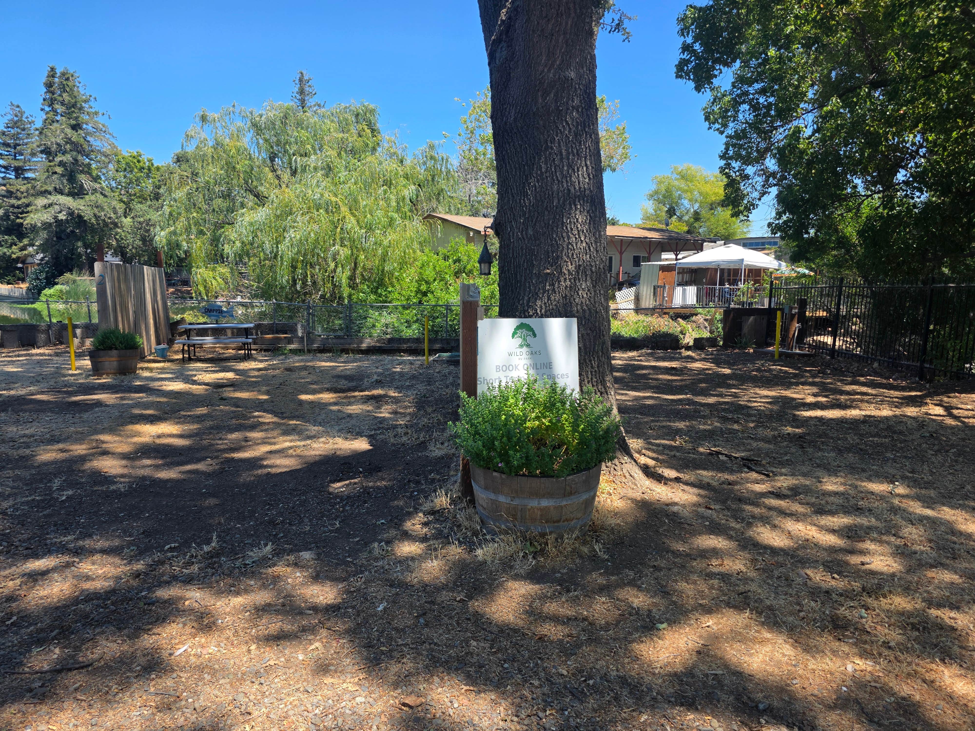 Camper-submitted photo at Wild Oaks RV Park near Rumsey, CA