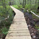 Review photo of Daughters of the American Revolution (DAR) State Forest Campground by Tracy M., August 4, 2026