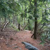 Review photo of Daughters of the American Revolution (DAR) State Forest Campground by Tracy M., August 4, 2026