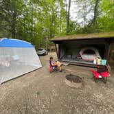 Review photo of Fort Dummer State Park Campground by Tracy M., August 4, 2026