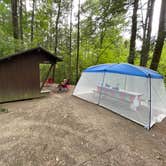 Review photo of Fort Dummer State Park Campground by Tracy M., August 4, 2026