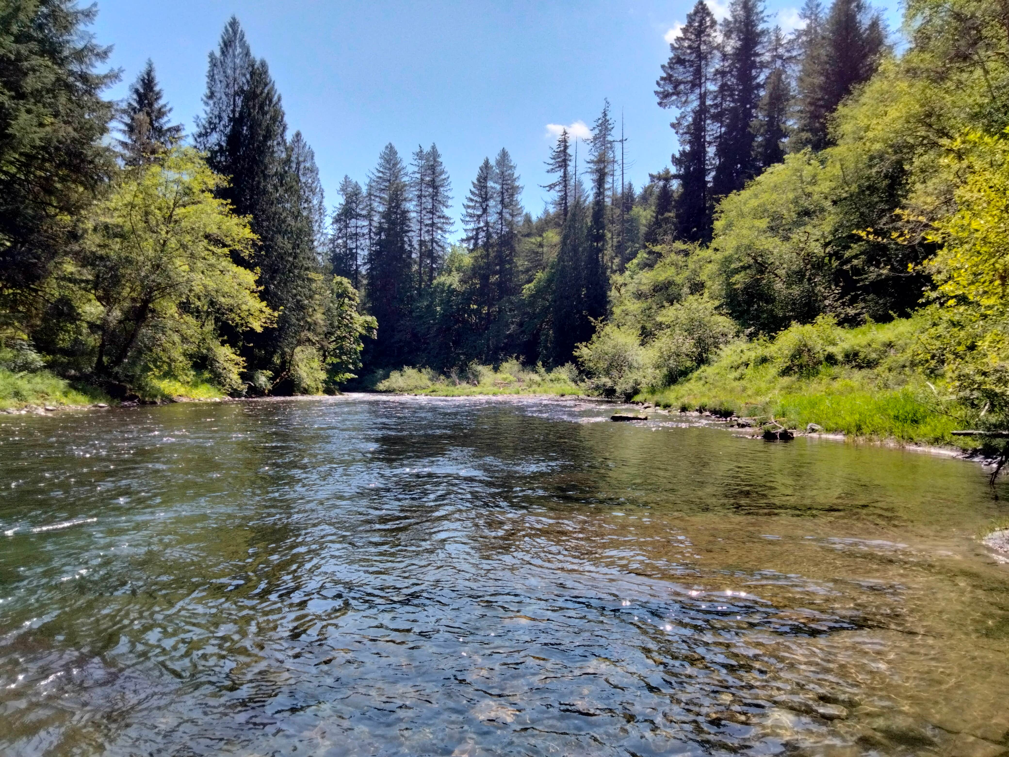 Camping near Woodland Shores RV Park: Goldfinch Retreat, Ariel, Washington