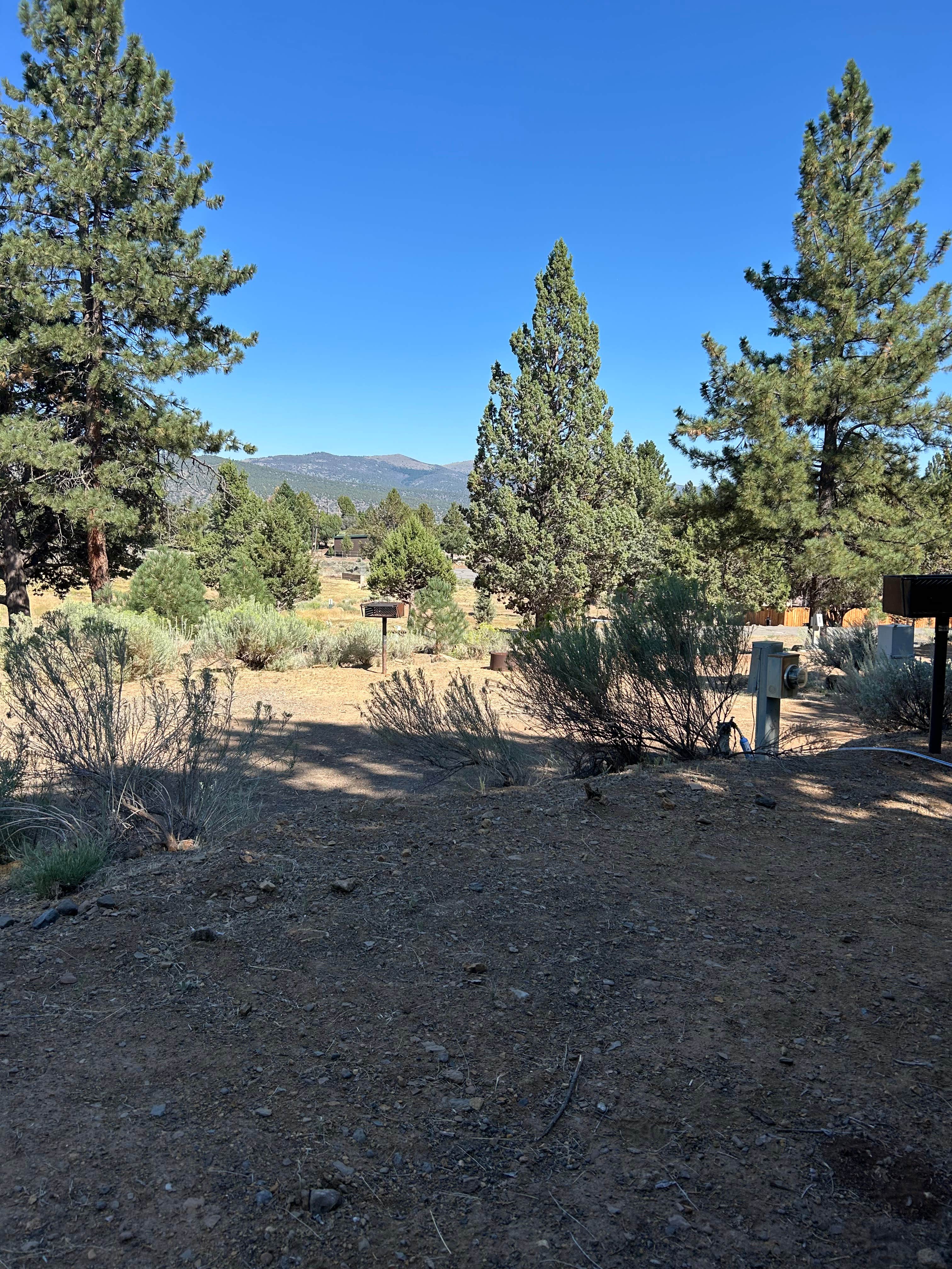 Camper-submitted photo at American Eagle RV Park near Susanville, CA