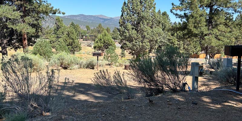 Camper submitted image from American Eagle RV Park