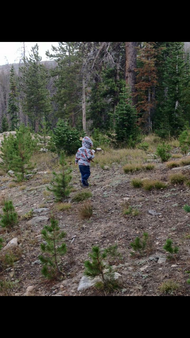 Camper submitted image from Mirror Lake - Uinta Wasatch Cache National Forest - 2