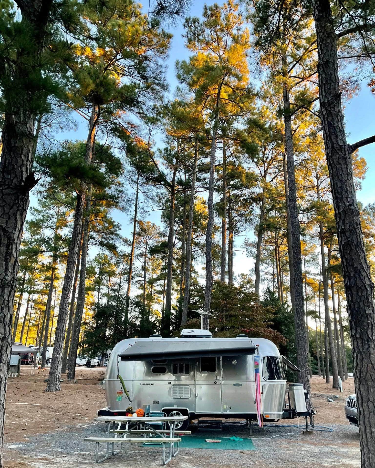 Camper-submitted photo at Sycamore Lodge near Rockingham, NC