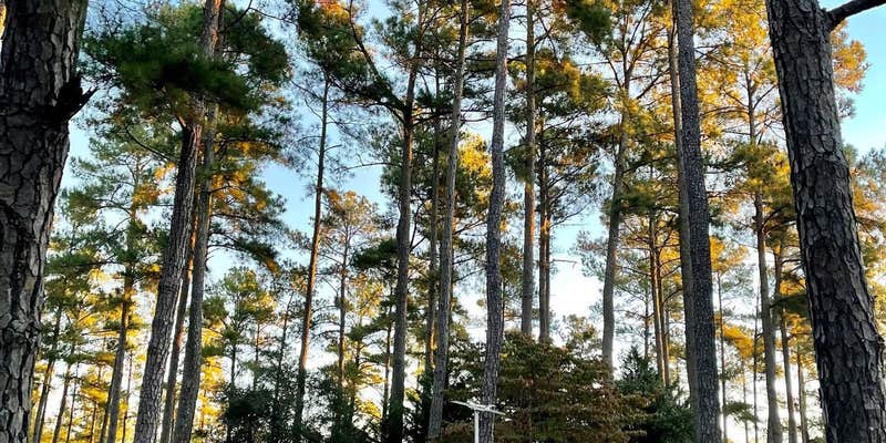 Camper submitted image from Sycamore Lodge