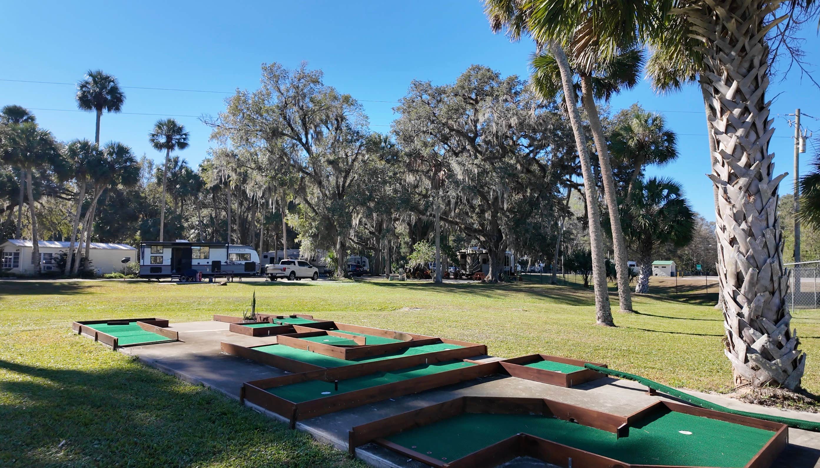 Camper-submitted photo at Thousand Palms Resort near Lake Panasoffkee, FL