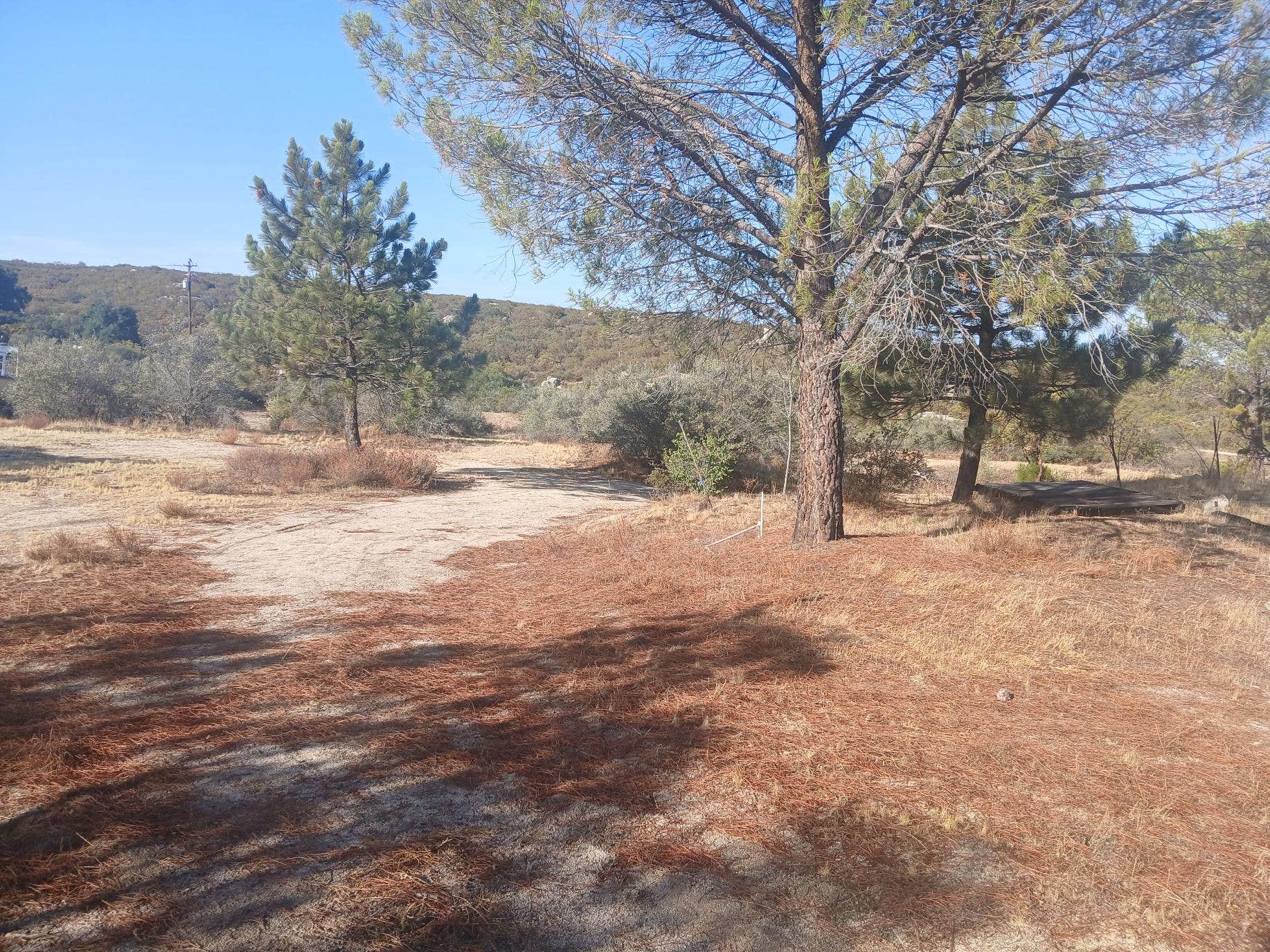 Camping near Golden Acorn Casino & Travel Center: High Desert Healing, Boulevard, California