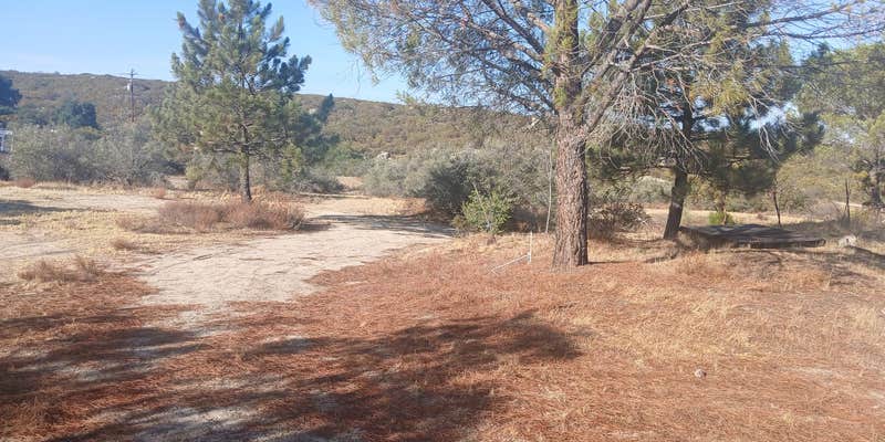Camper submitted image from High Desert Healing