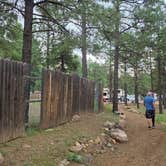 Review photo of Flagstaff RV Park (formally Greer's Pine Shadows RV Park) by Cindy M., August 8, 2026