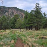 Review photo of Flagstaff RV Park (formally Greer's Pine Shadows RV Park) by Cindy M., August 8, 2026