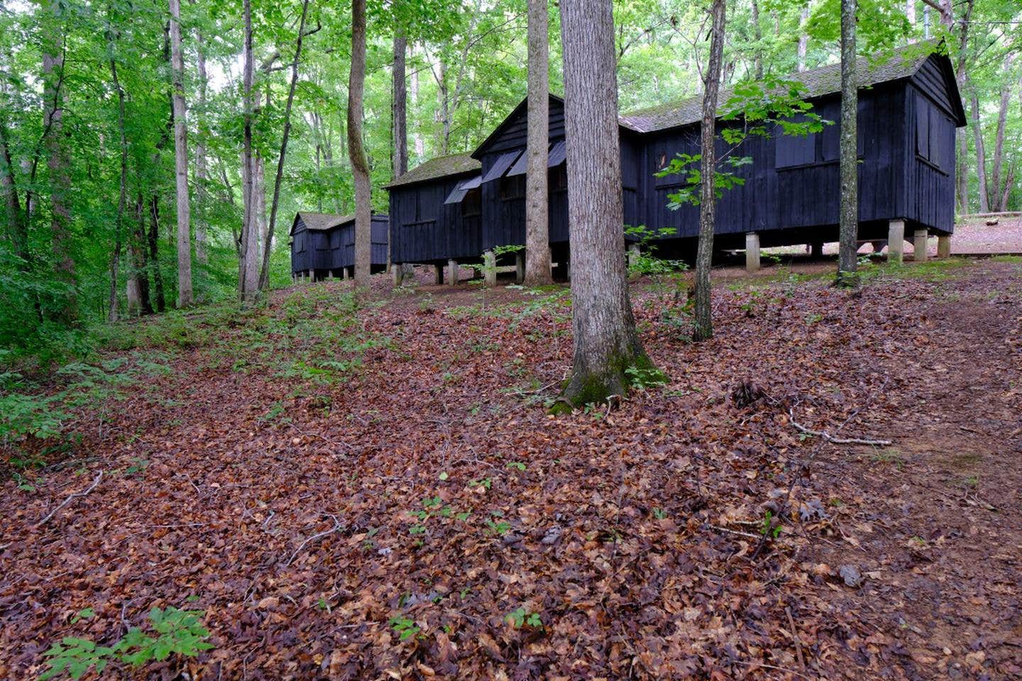 The Dyrt's photo of glamping accommodations at Cabin Camp 3 — Prince William Forest Park near Bethesda, MD