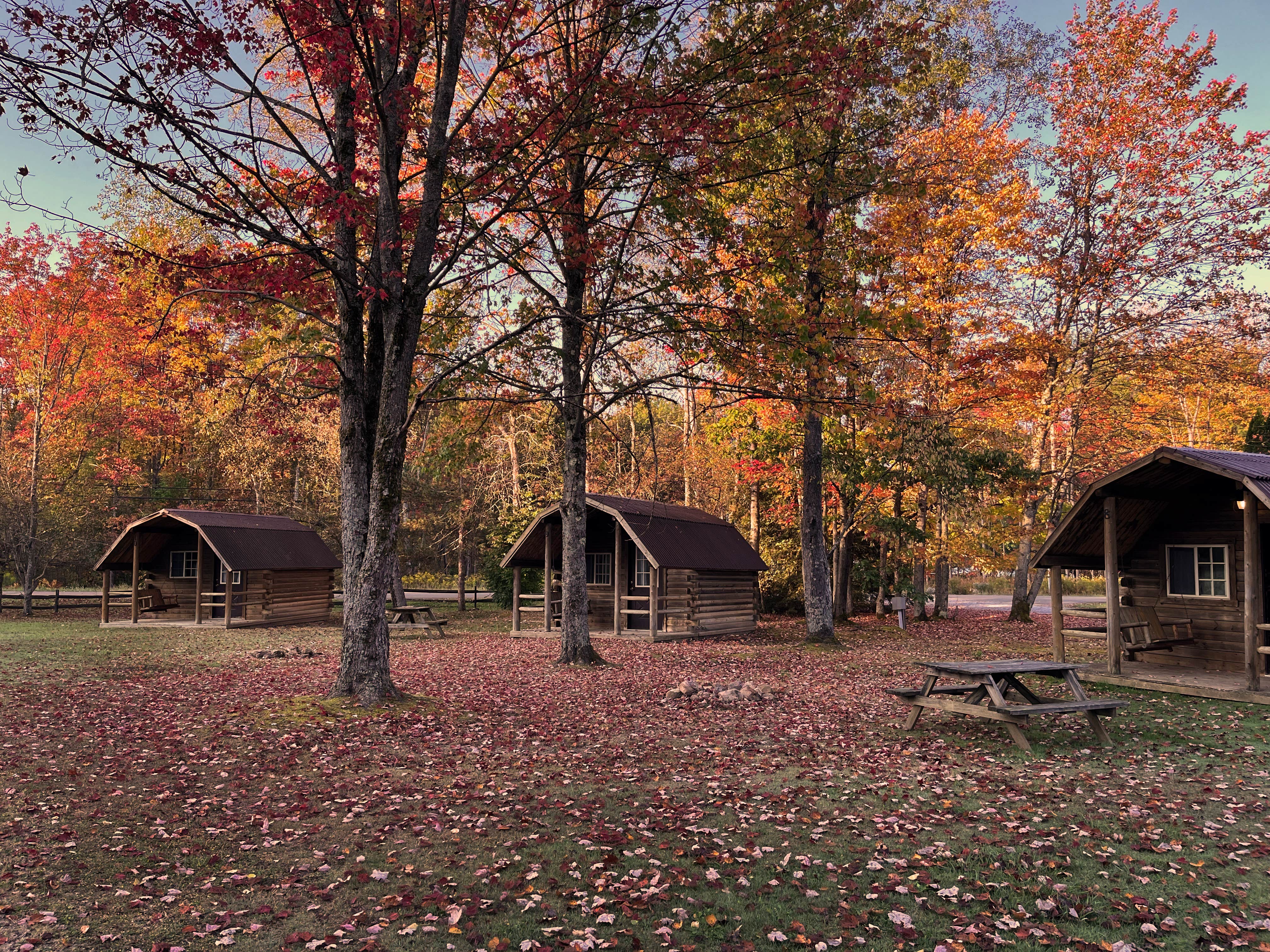 Camping near Red Bridge Recreation Area - Allegheny National Forest: Cozy Embers Campground & Cabins, Westline, Pennsylvania