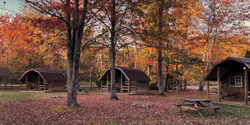 Camper submitted image from Cozy Embers Campground & Cabins