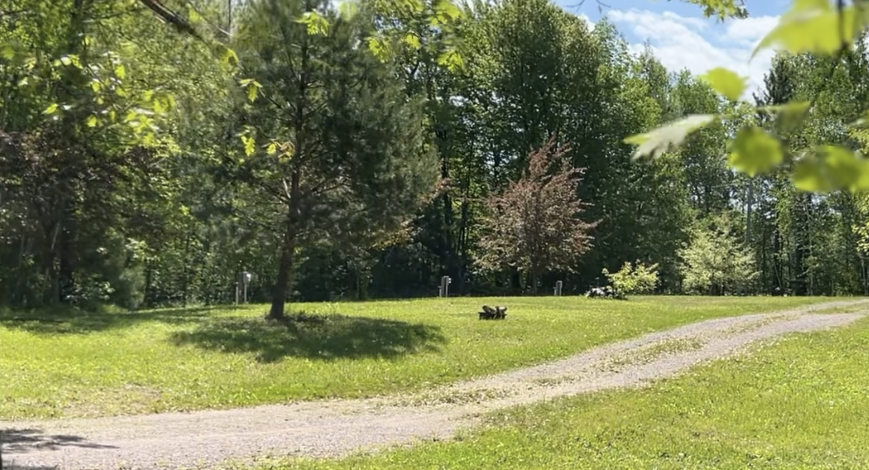 Camping near Morris Erickson County Park: Birch Hollow Campground, Cornell, Wisconsin