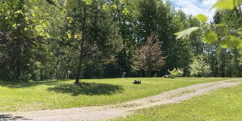 Camper submitted image from Birch Hollow Campground