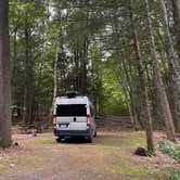Review photo of Fort Dummer State Park Campground by Dwight F., August 9, 2026